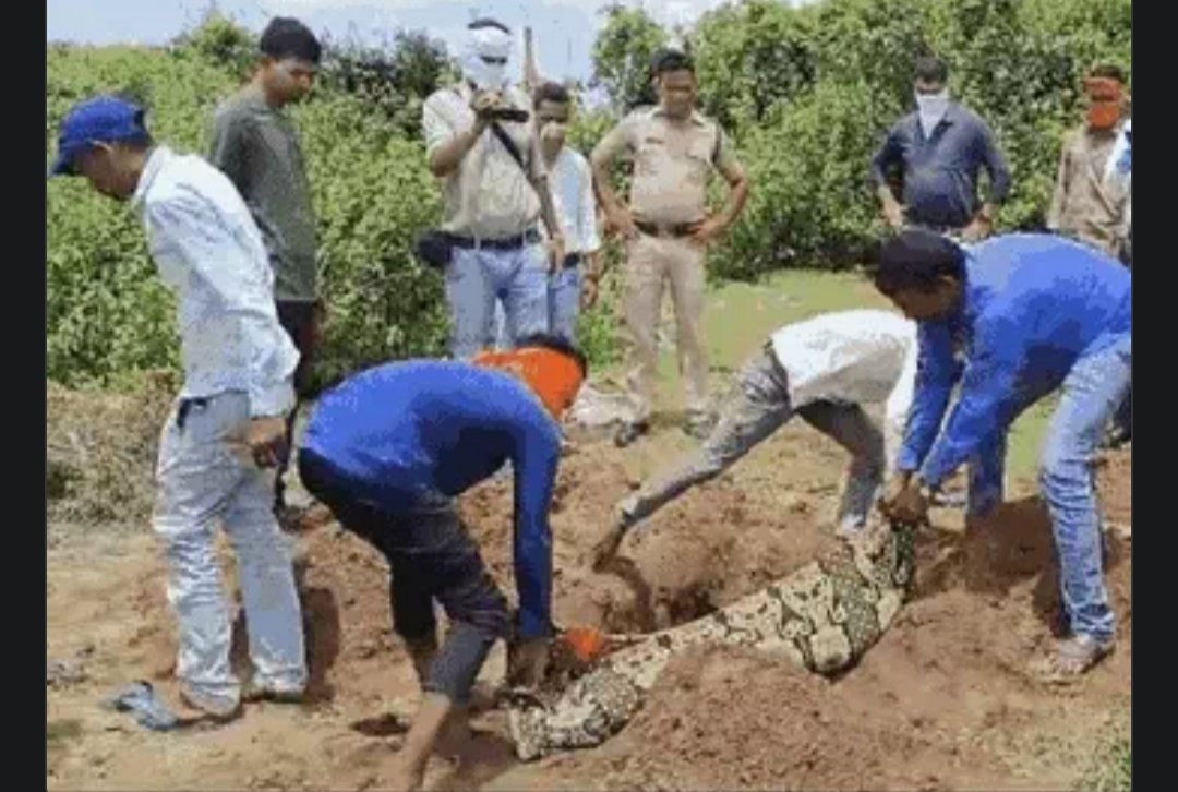 कोरबा में युवक की रहस्यमयी मौत का मामला: 2 महीने बाद कब्र से निकाला जाएगा शव, ठेकेदार पर परिजन ने लगाए गंभीर आरोप 1 IMG 20250626 150146
