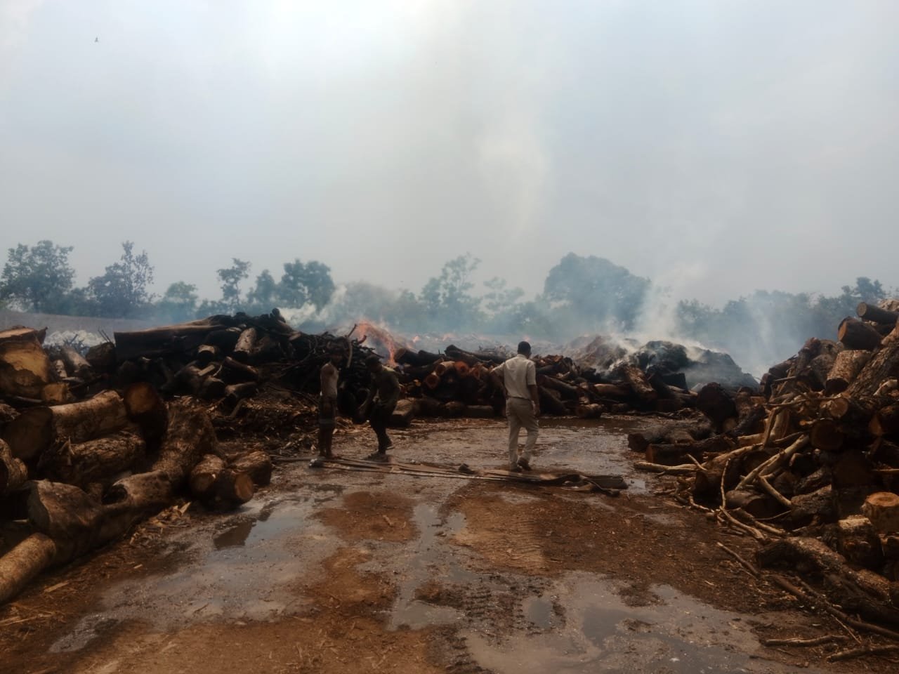 WhatsApp Image 2025 06 05 at 2.42.59 PM 1