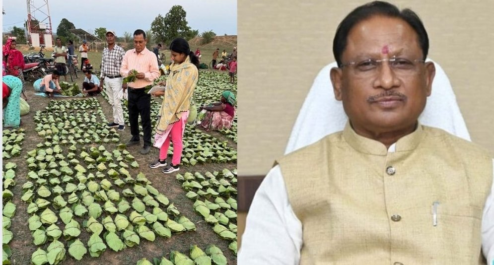 CM विष्णु देव साय 21 जून को करेंगे प्रदेशव्यापी चरण पादुका योजना का शुभारंभ, तेंदूपत्ता संग्राहकों को मिलेगा सम्मान और सुरक्षा 1 image editor output image1592890698 1750256654156