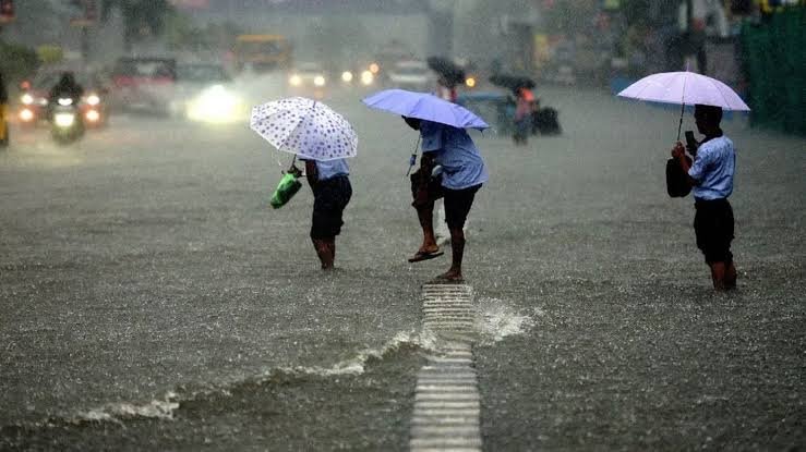 छत्तीसगढ़ में मानसून की जोरदार दस्तक: रायपुर में रातभर बरसे बादल, बलरामपुर तरबतर, राजनांदगांव-सुकमा सूखे, अगले 5 दिन बिजली-बारिश का यलो अलर्ट 1 images 28 3 1