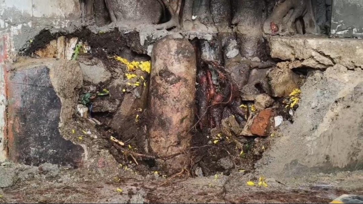 सब्ज़ी मंडी में शिवलिंग मिलने से मचा हड़कंप, बाजार बना आस्था का केंद्र, स्थानीयों ने कहा– ‘यह चमत्कार है’, प्रशासन से भव्य मंदिर और सुरक्षा की मांग तेज 1 image 7 4