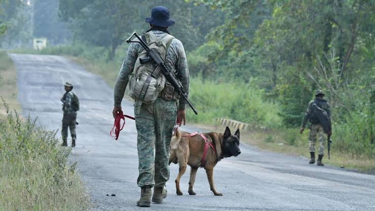 Security Forces Gun Down Naxalite in Bijapur; Two Arrested in Kanker 1 images 28 28