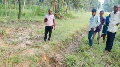 2537008 elephant attack elderly man dies