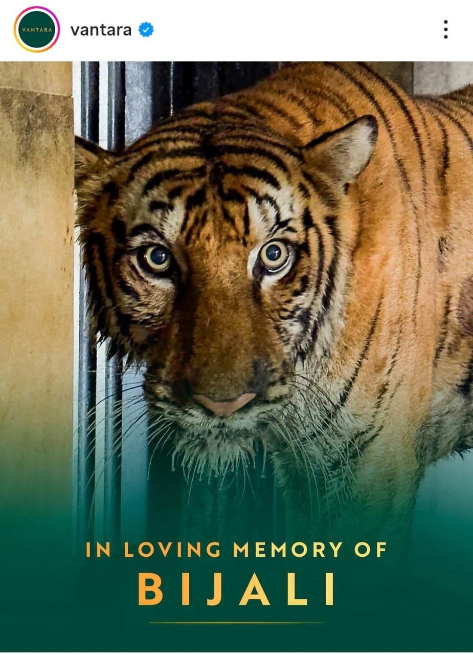 IMG 20251011 WA0020 1