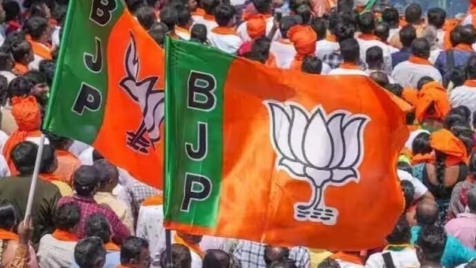 bjp flag 214932819