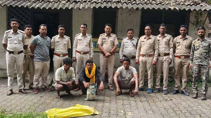 Three arrested in connection with elephant death in Raigarh; case registered under Wildlife Protection Act 1 images 14 30