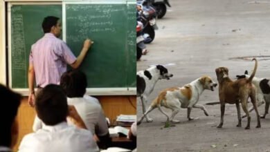 सुप्रीम कोर्ट के आदेश के बाद बड़ा एक्शन: स्कूलों में बच्चों की सुरक्षा को लेकर शिक्षा विभाग सख्त, आवारा कुत्तों पर नोडल सिस्टम लागू 5 211125 22