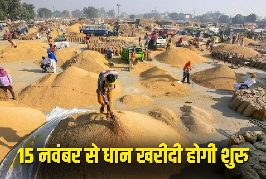 CG Dhan Kharidi News