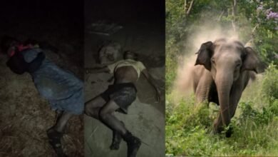 CG News 2025 11 29T100840.053 1024x576 1