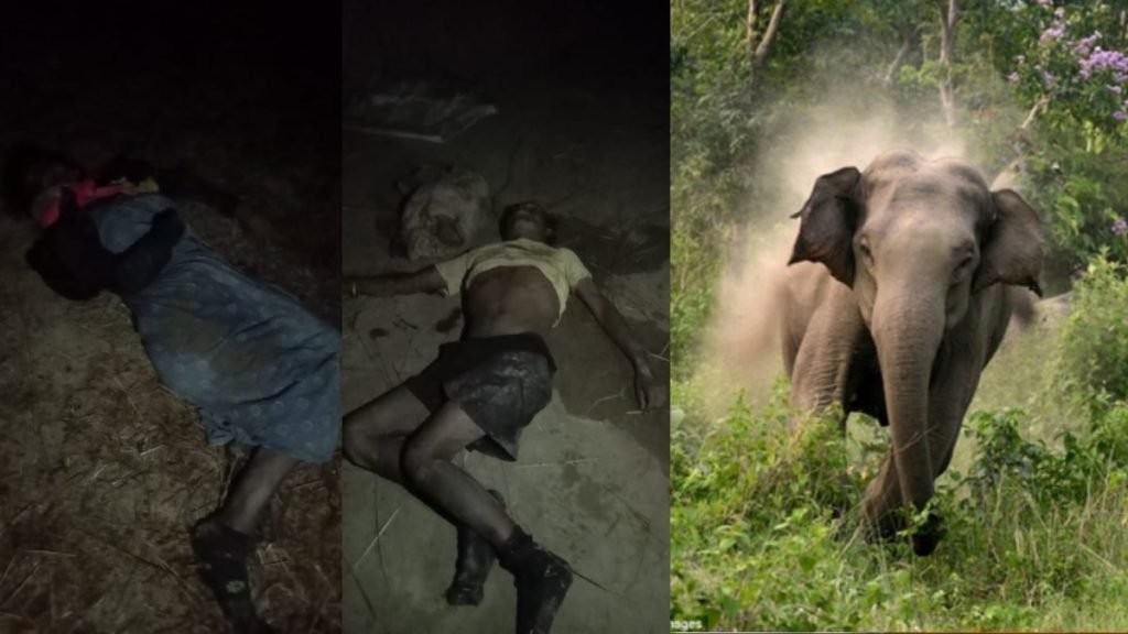 CG News 2025 11 29T100840.053 1024x576 1