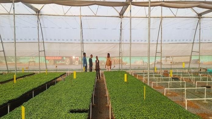 CG News : बस्तर में बंदूक की गूंज थमी, अब फलों और फूलों की महक — साग-सब्जी की खेती से किसानों की बदली किस्मत 1 IMG 20251110 WA0034