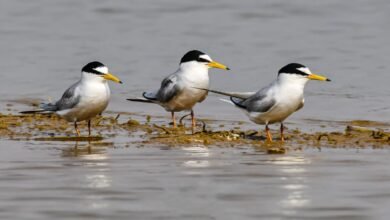 IMG 20251121 WA0013 1