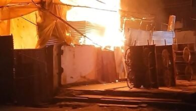 WhatsApp Image 2025 11 13 at 6.11.23 AM 1 911x1024 1