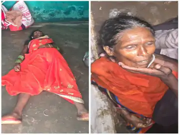 image 2025 11 12t2342054011763039794 1763052521