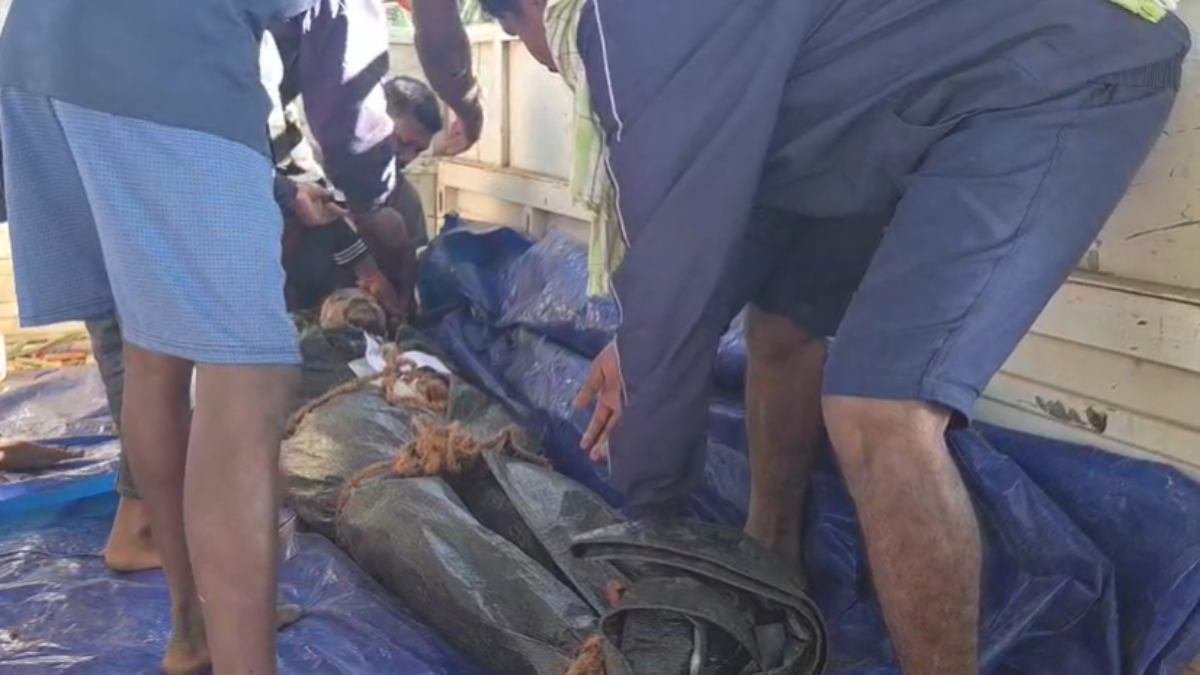 image 2025 11 20T110659.442