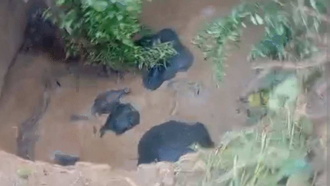 image editor output image811697800 1762248463360