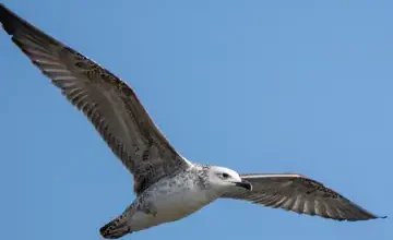 6bd0b582 b8c8 41a3 8c9c 33b879d546bc 1765866747639