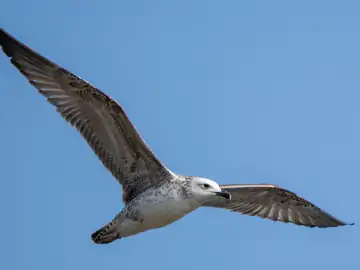 6bd0b582 b8c8 41a3 8c9c 33b879d546bc 1765866747639