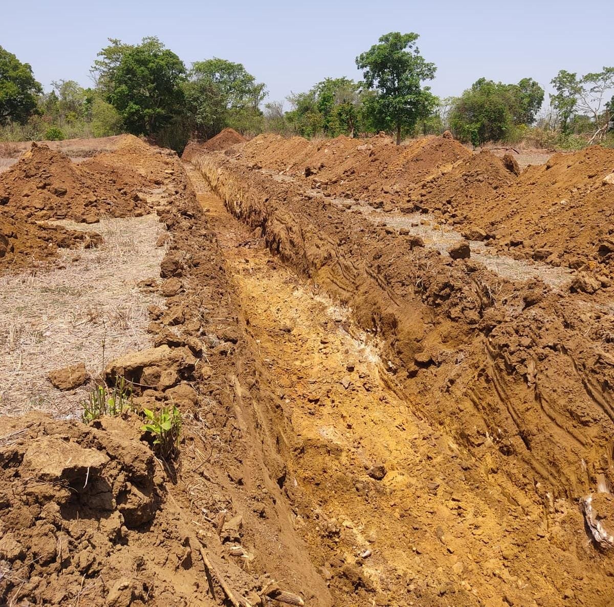 नगरी अंचल में हरित क्रांति की नींव: फुटहामुड़ा नहर से 22 गांवों को मिलेगी स्थायी सिंचाई 1 IMG 20251231 WA0004