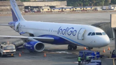 Indigo F 1764835205141
