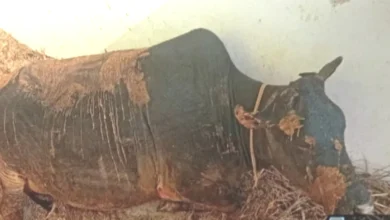 Rajouri Fire Incident 1764762537502