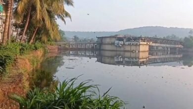 WhatsApp Image 2025 12 09 at 03.21.29