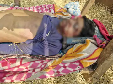 fedddc07 7997 49a0 9393 57795dd15f241766829758236 1766831927