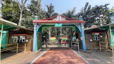 image 2025 11 30T202839.120