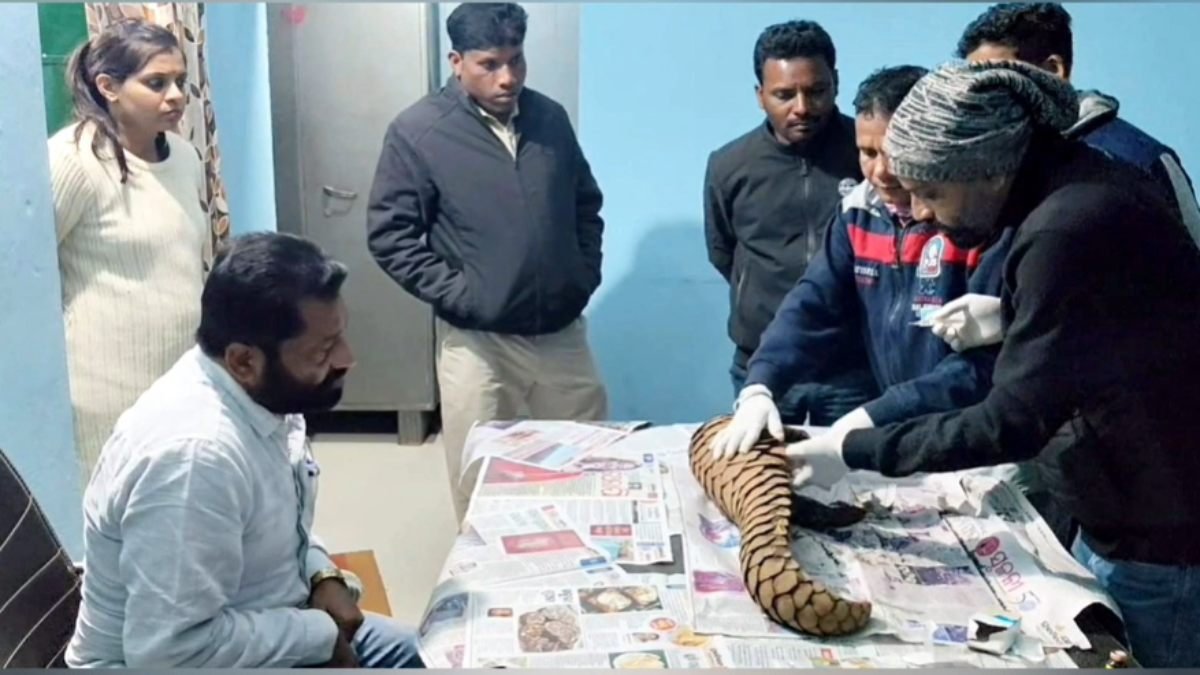 image 2025 12 09T113613.935