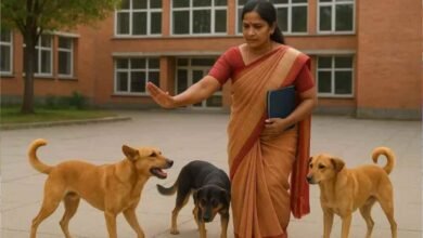 Stray Dogs on Chhattisgarh College Campuses: Professors to Act as Nodal Officers, Higher Education Dept Issues Strict Order 6 image 21 12