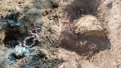 image 5 25 1024x576 1