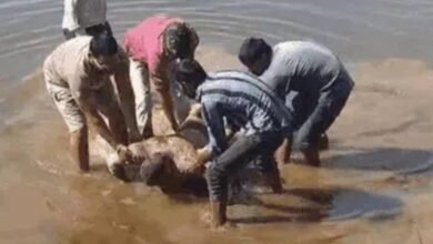 image editor output image2020147859 1765179273784