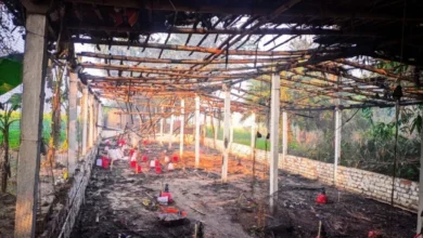 poultry farm 1765794584190