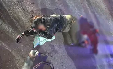 whatsapp image 2025 12 19 at 123404 1 1766128638