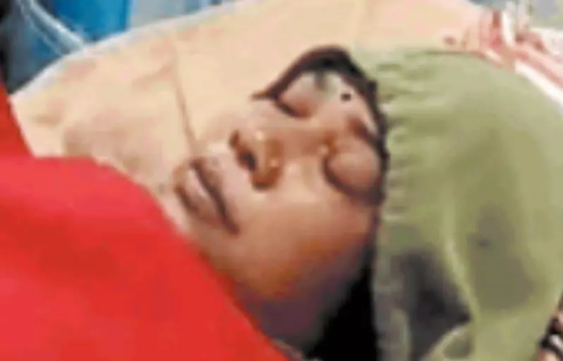 5129532 untitled 7 copy