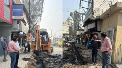 5132063 untitled 17 copy