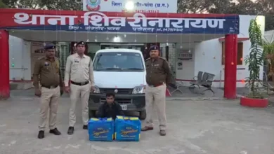 5143007 untitled 33 copy