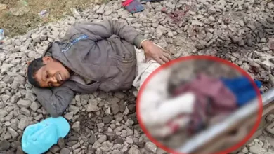 5154038 untitled 44 copy