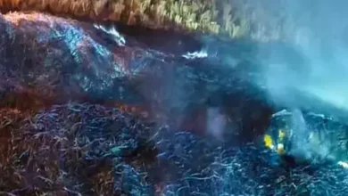 5154229 untitled 15 copy