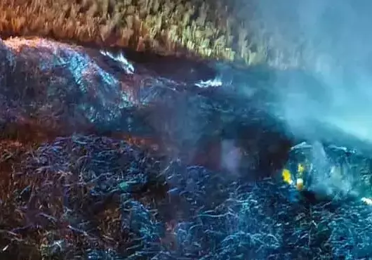 5154229 untitled 15 copy