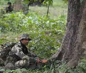 5168559 untitled 17 copy