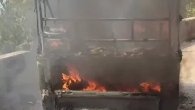 5176938 untitled 60 copy