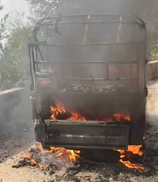 5176938 untitled 60 copy