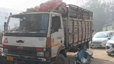 5195625 untitled 65 copy