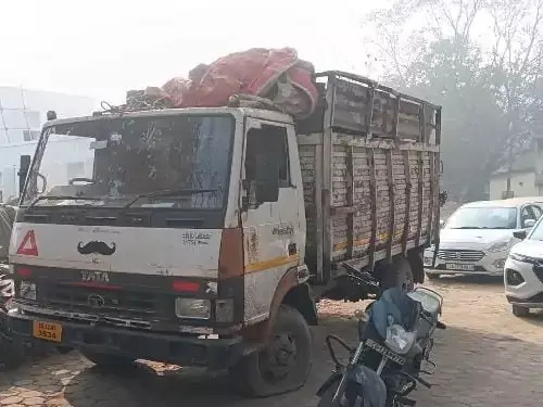 5195625 untitled 65 copy