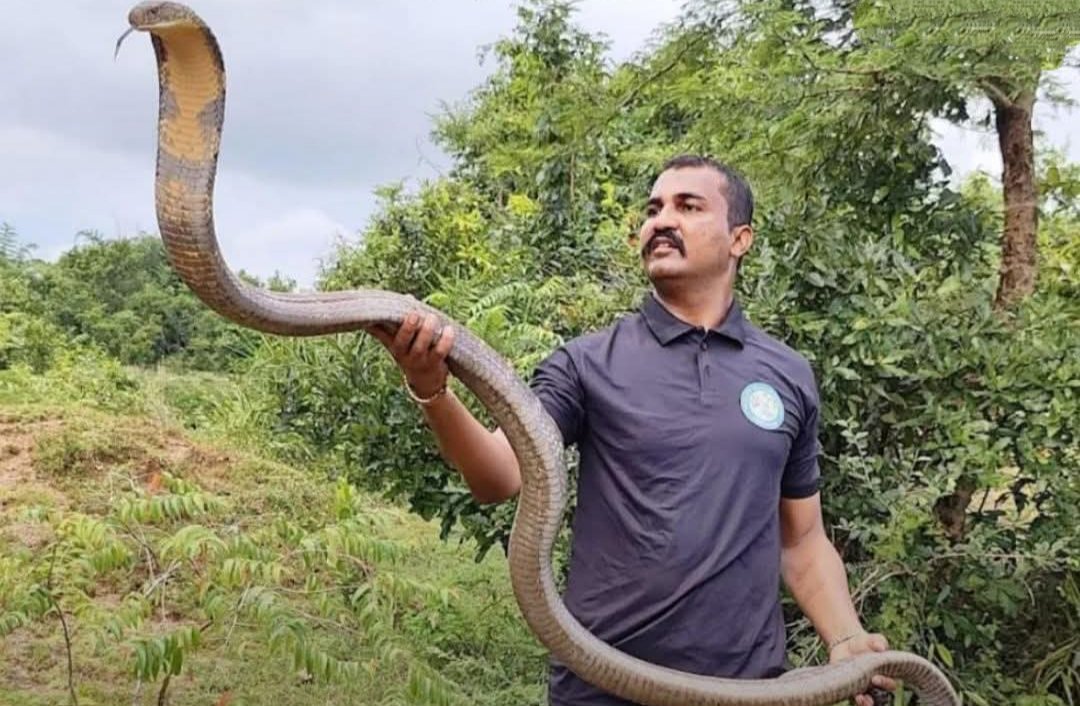 सांप पकड़ने के वीडियो से बना सोशल मीडिया स्टार, निकला गांजा तस्करी का सरगना: महासमुंद पुलिस ने 7.86 करोड़ का नशा पकड़ा, यूट्यूबर समेत 27 गिरफ्तार 1 IMG 20260131 105952