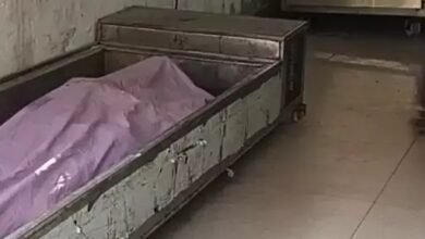 WhatsApp Image 2026 01 06 at 23.03.08