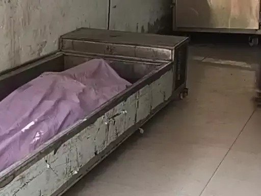 WhatsApp Image 2026 01 06 at 23.03.08