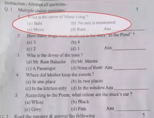 महासमुंद में कक्षा चौथी के प्रश्नपत्र पर बवाल : कुत्ते के नाम के विकल्प में ‘राम’, VHP का विरोध, DEO का पुतला दहन 1 WhatsApp Image 2026 01 08 at 01.28.57
