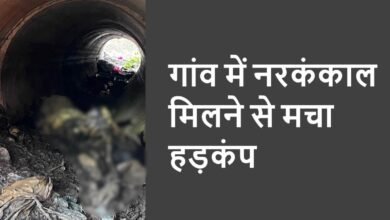 WhatsApp Image 2026 01 09 at 00.43.54 1